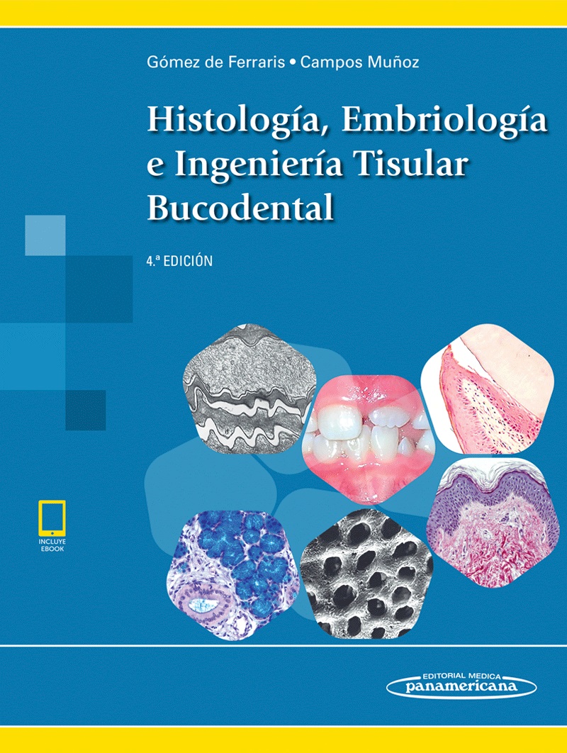 Histolog A Embriolog A E Ingenier A Tisular Bucodental Incluye
