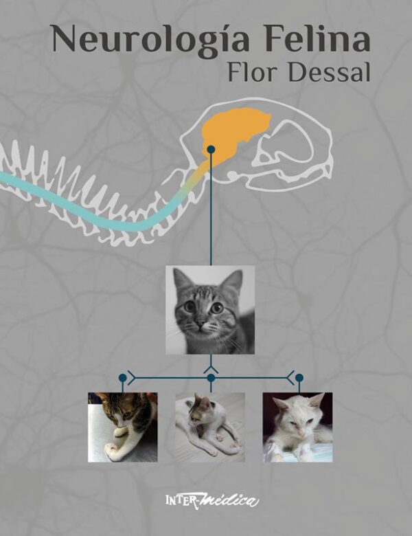 Neurología felina
